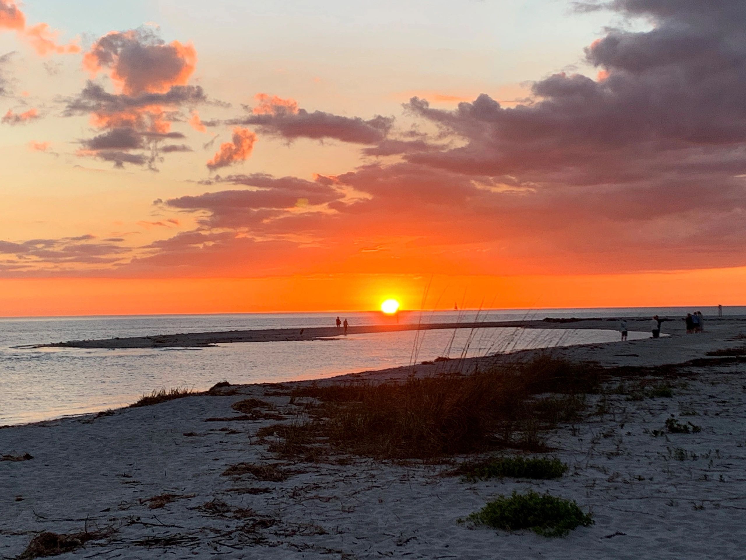 Flip Flops and Tank Tops Rotonda, Pool